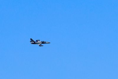 GX6A3098_2024int2024.jpg