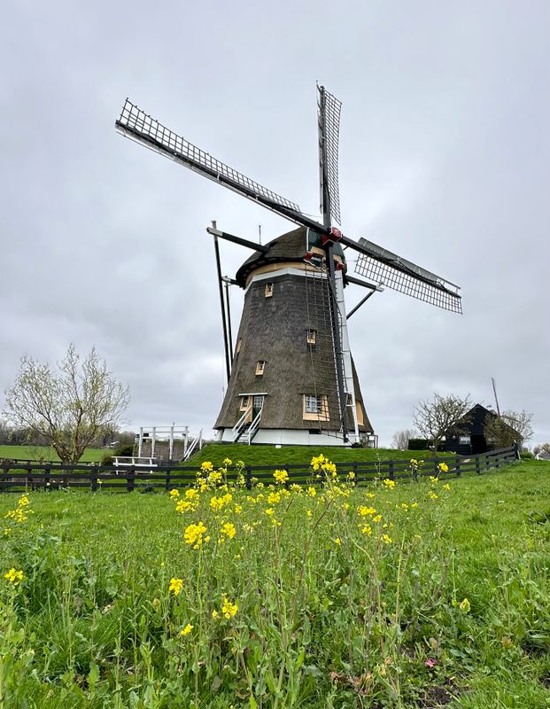g13/14/415814/2/174433513.19cf01b8.JPEG