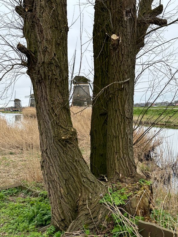 Molen Driegang