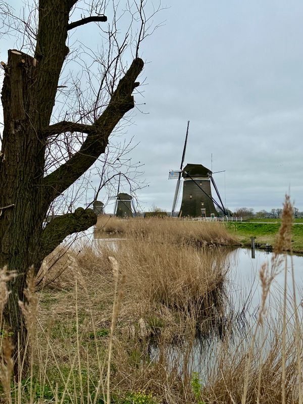 g13/14/415814/2/174433524.bfe94942.JPEG