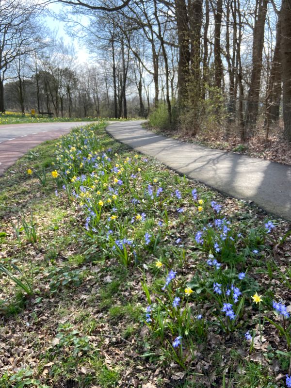 g13/14/415814/2/174433539.625051e4.JPEG