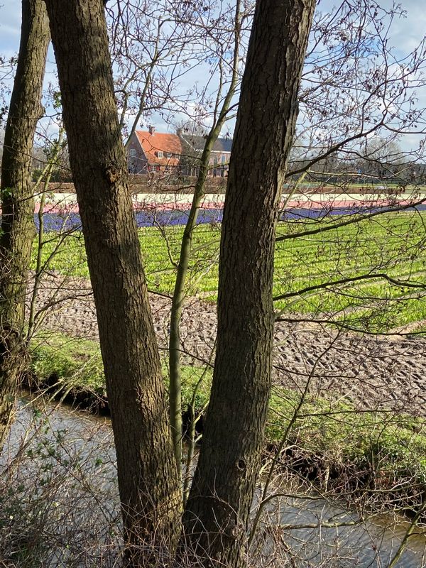 g13/14/415814/2/174433540.8283c690.JPEG