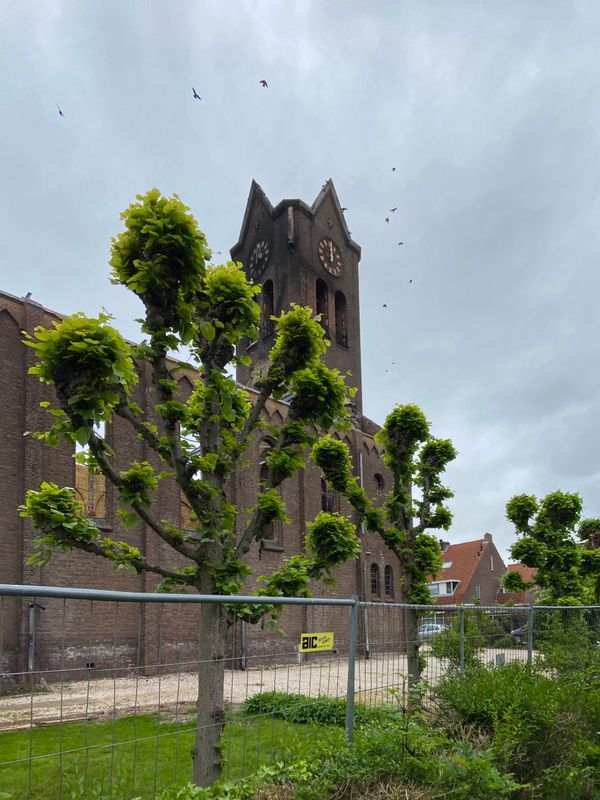 Onze Lieve Vrouw Geboortekerk - De Goede Herder. Hoogmade