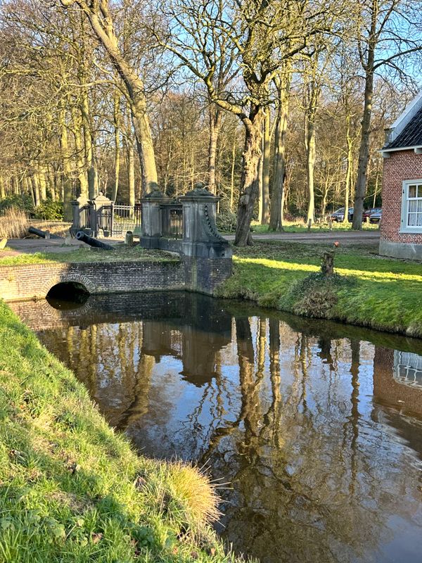 Bos van Krantz