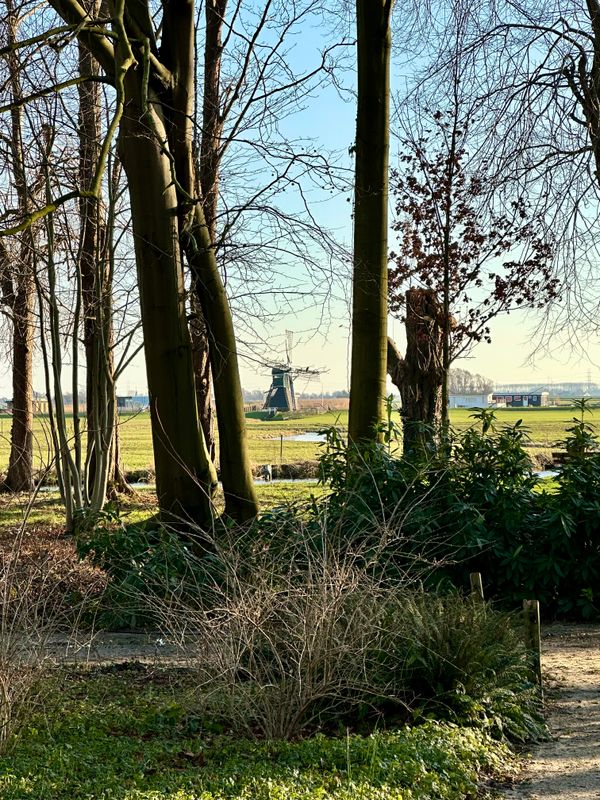 Bos van Krantz