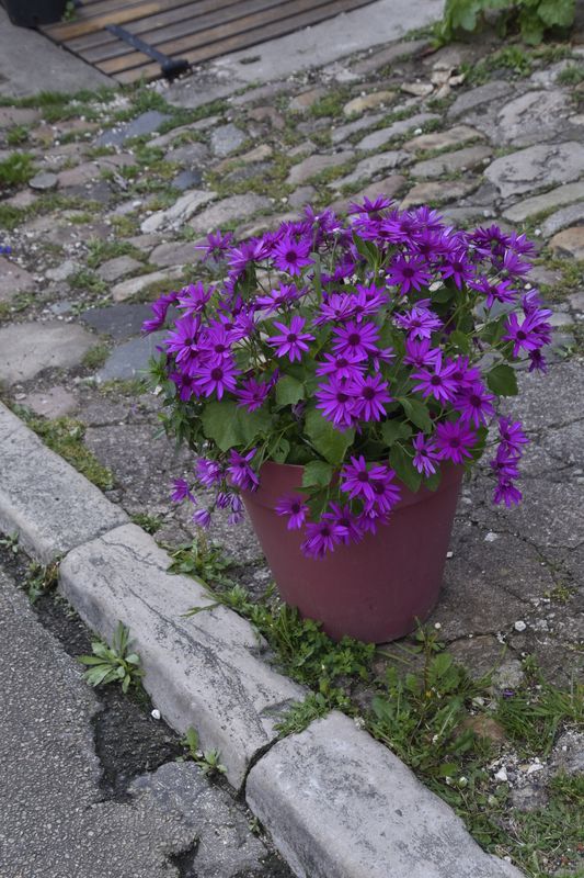 g13/14/415814/2/175420019.0333c48c.JPEG