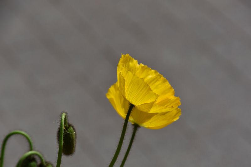 g13/14/415814/2/175424057.396b7924.JPEG
