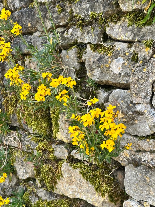 g13/14/415814/2/175427756.d2fa0952.JPEG