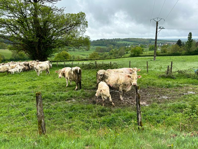 g13/14/415814/2/175427778.51f2a0ac.JPEG