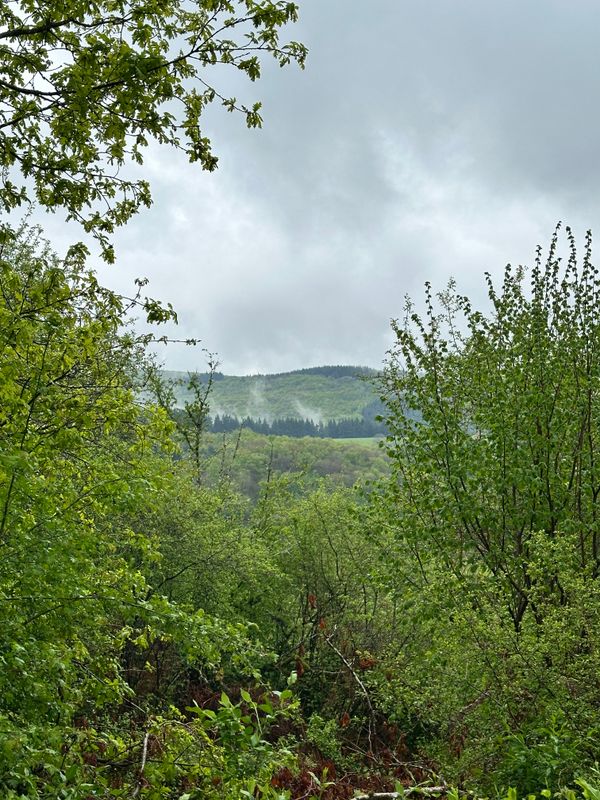 g13/14/415814/2/175427786.9cb17779.JPEG