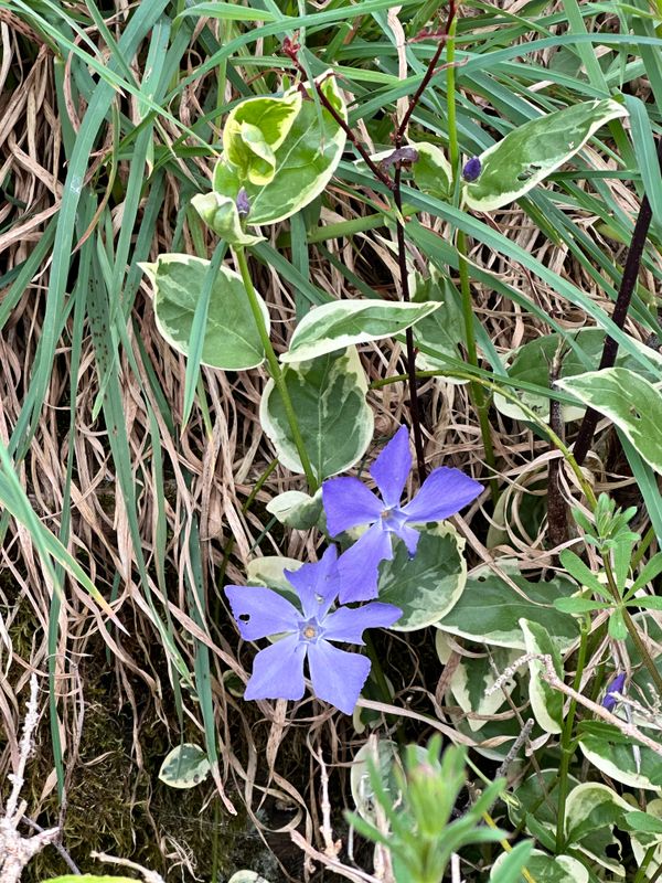 g13/14/415814/2/175427976.271c3e33.JPEG