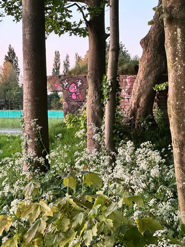 Park Klinkenberg Warmond