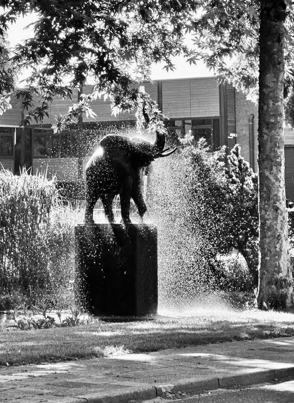 Almost Black & White - 2