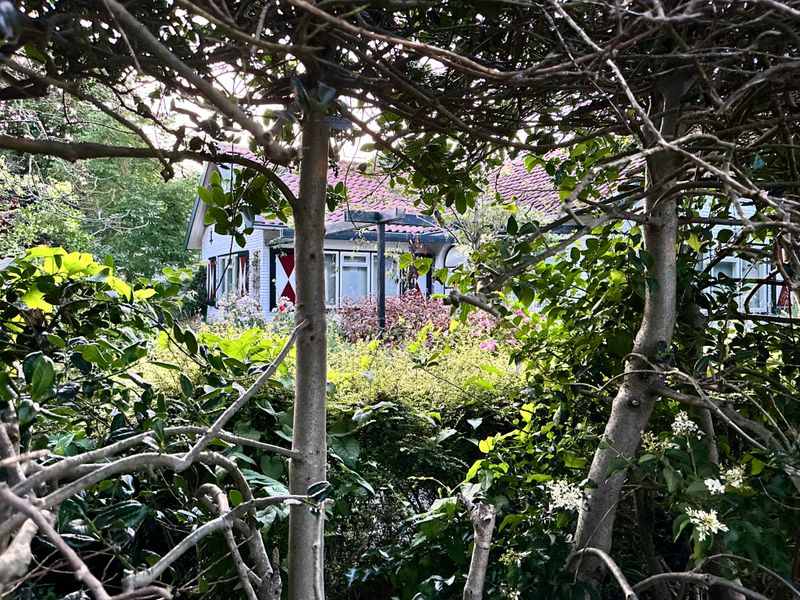 g13/14/415814/2/175595688.d5552703.JPEG