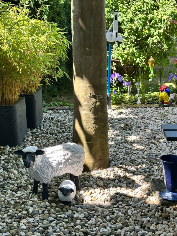 In our Garden