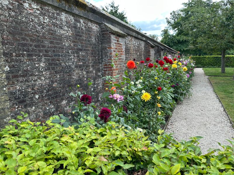 Dahliagarden