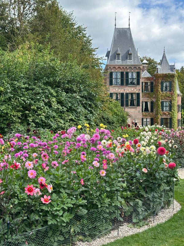 Dahliagarden