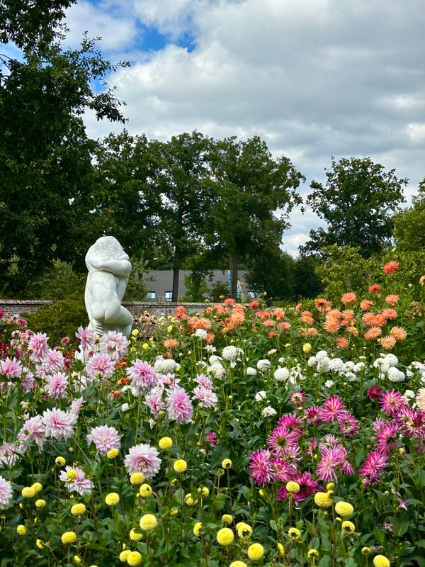 Dahliagarden