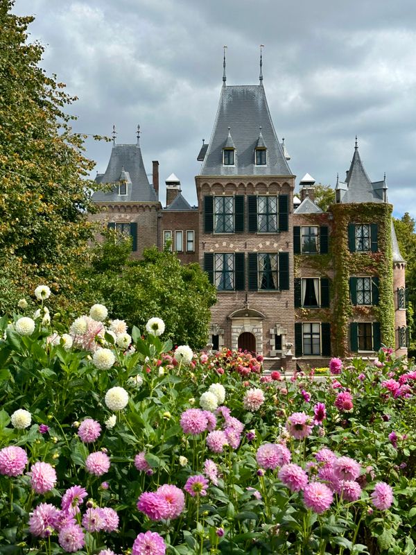 Dahliagarden