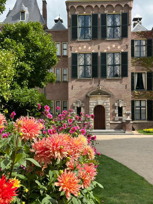Dahliagarden