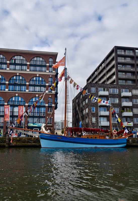 Sail 2025 Amsterdam