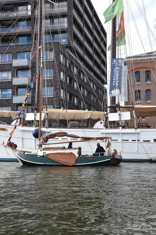 Sail 2025 Amsterdam