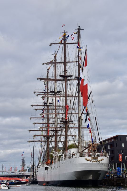 Sail 2025 Amsterdam