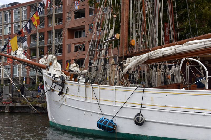 Sail 2025 Amsterdam