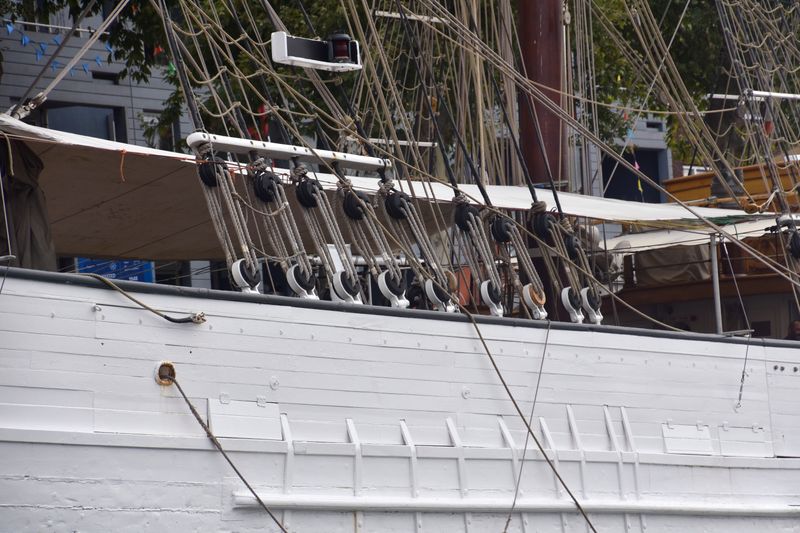 Sail 2025 Amsterdam