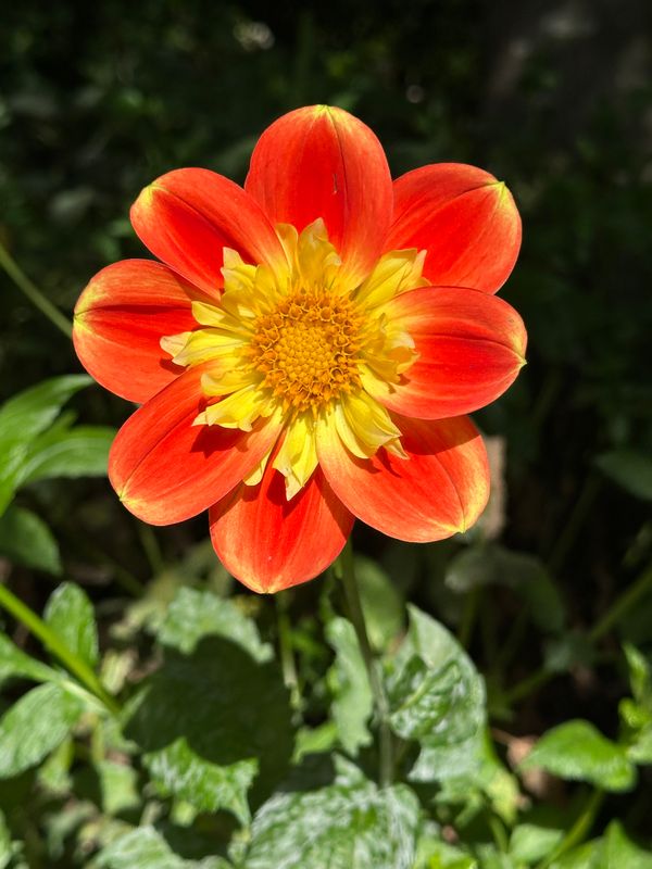g13/14/415814/2/175802052.c75ca6ec.JPEG