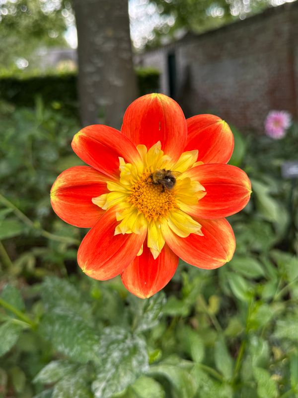 g13/14/415814/2/175802054.1cc10c97.JPEG