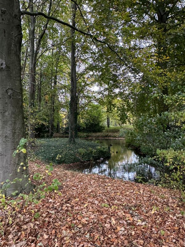 Park Klinkenberg Warmond