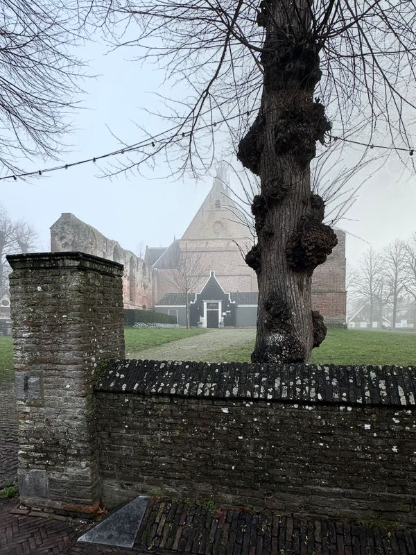 Somewhere in The Netherlands - 1