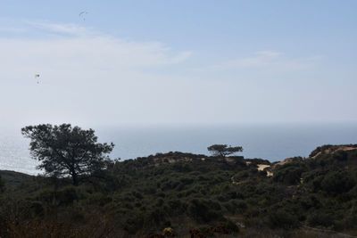 g13/14/415814/3/173250769.ebbe9784.JPEG