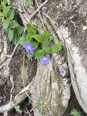 g13/14/415814/3/173588264.b900e669.JPEG