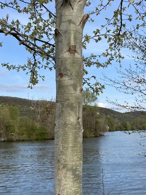 g13/14/415814/3/173588315.3eb0d005.JPEG