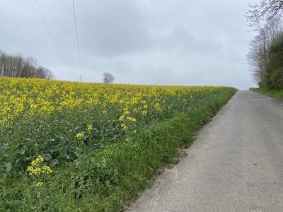 g13/14/415814/3/173588321.537ef359.JPEG