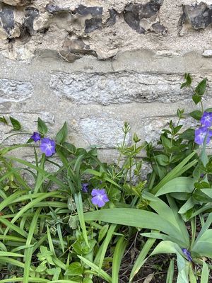 g13/14/415814/3/173588360.3a518646.JPEG