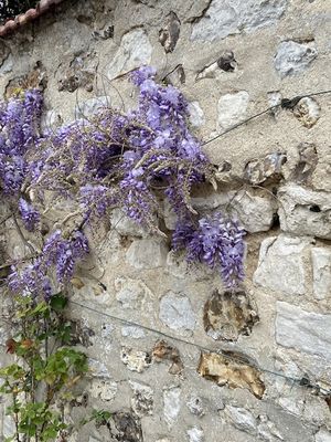 g13/14/415814/3/173588361.62871ab7.JPEG