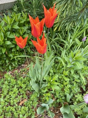 g13/14/415814/3/173588383.72ad8e37.JPEG