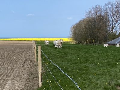 g13/14/415814/3/173588519.57124855.JPEG