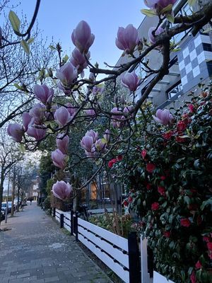 g13/14/415814/3/173599591.e8d31d9b.JPEG