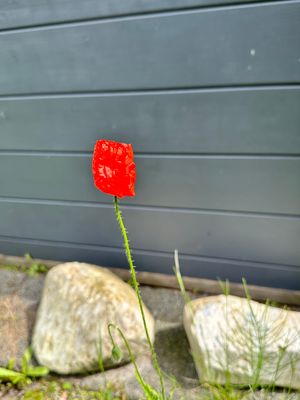 g13/14/415814/3/174600455.e7e71fa7.JPEG