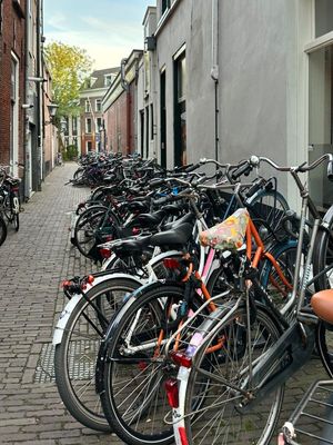 g13/14/415814/3/174641698.84b92742.JPEG