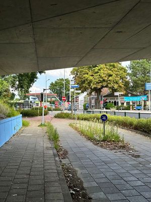 g13/14/415814/3/174841728.546db79c.JPEG