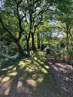 g13/14/415814/3/174911060.64d46448.JPEG