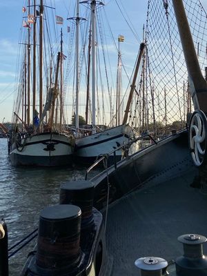 g13/14/415814/3/175014055.7f8480ab.JPEG