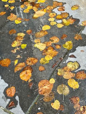 g13/14/415814/3/175064802.1d64657f.JPEG