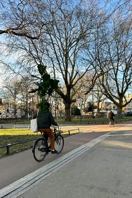 g13/14/415814/3/175248207.6e5c8827.JPEG