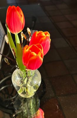 g13/14/415814/3/175303508.3d8ffd04.JPEG